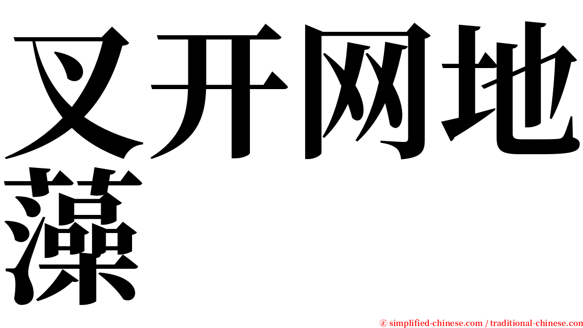 叉开网地藻 serif font