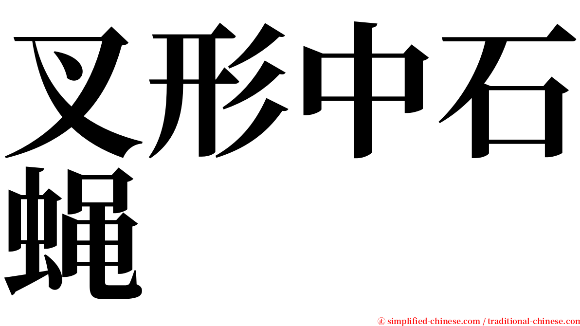 叉形中石蝇 serif font