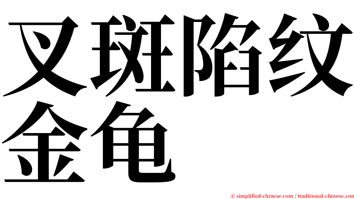 叉斑陷纹金龟 serif font