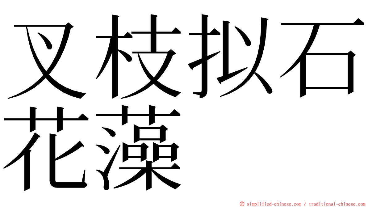 叉枝拟石花藻 ming font