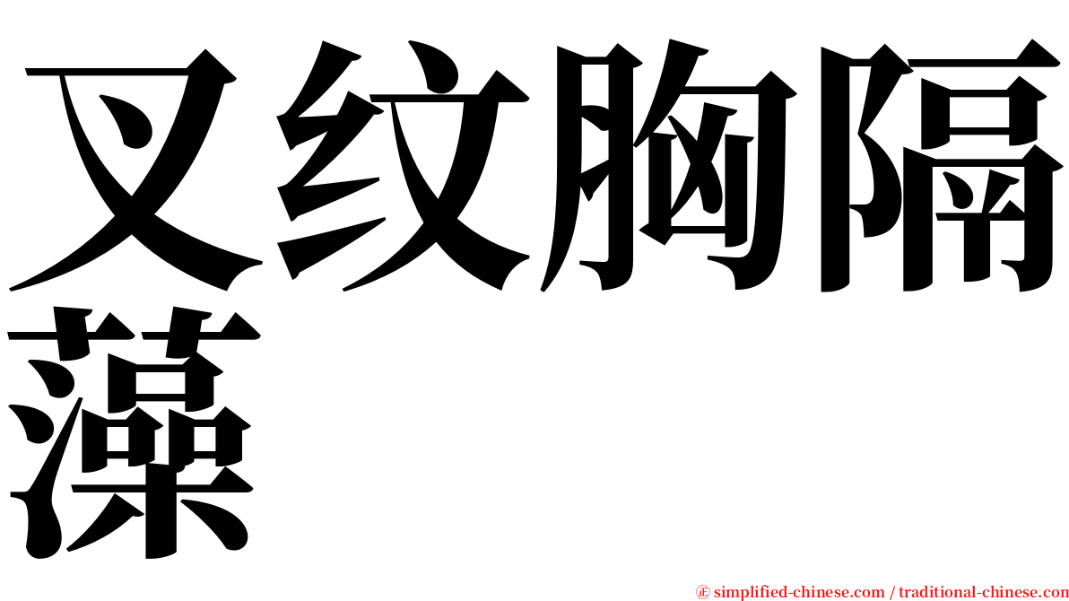 叉纹胸隔藻 serif font