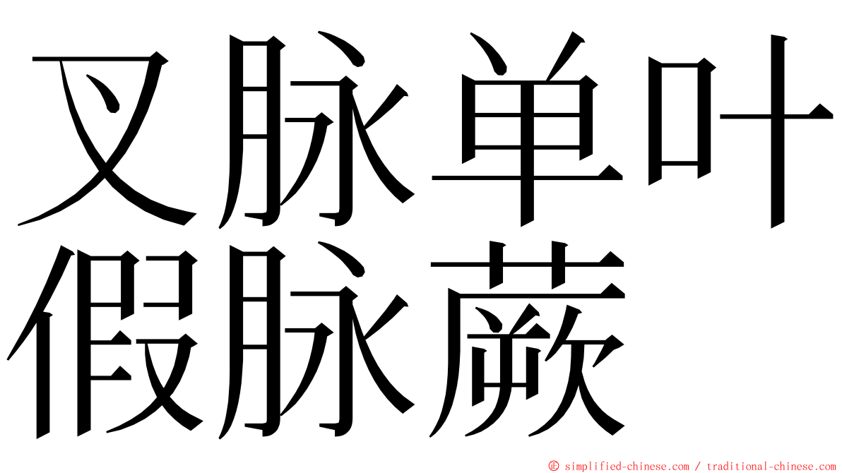 叉脉单叶假脉蕨 ming font