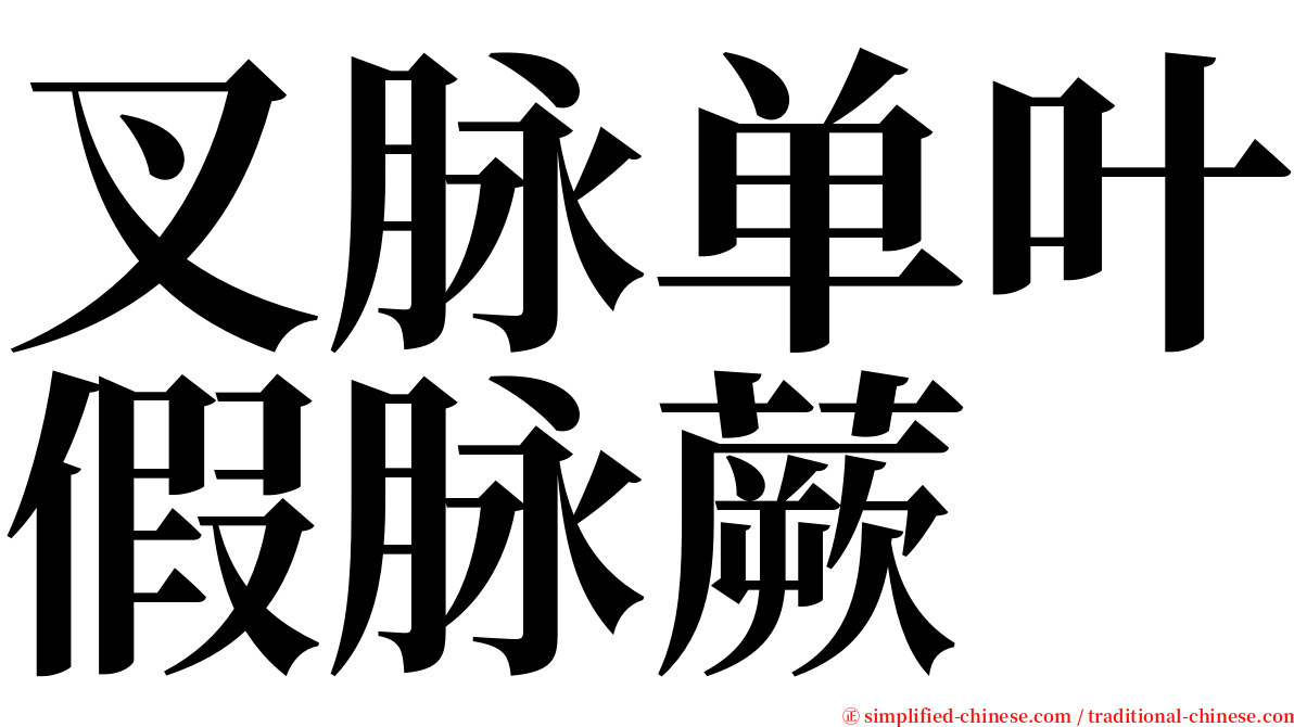 叉脉单叶假脉蕨 serif font