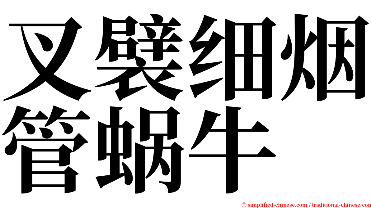 叉襞细烟管蜗牛 serif font