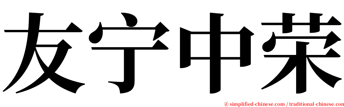 友宁中荣 serif font