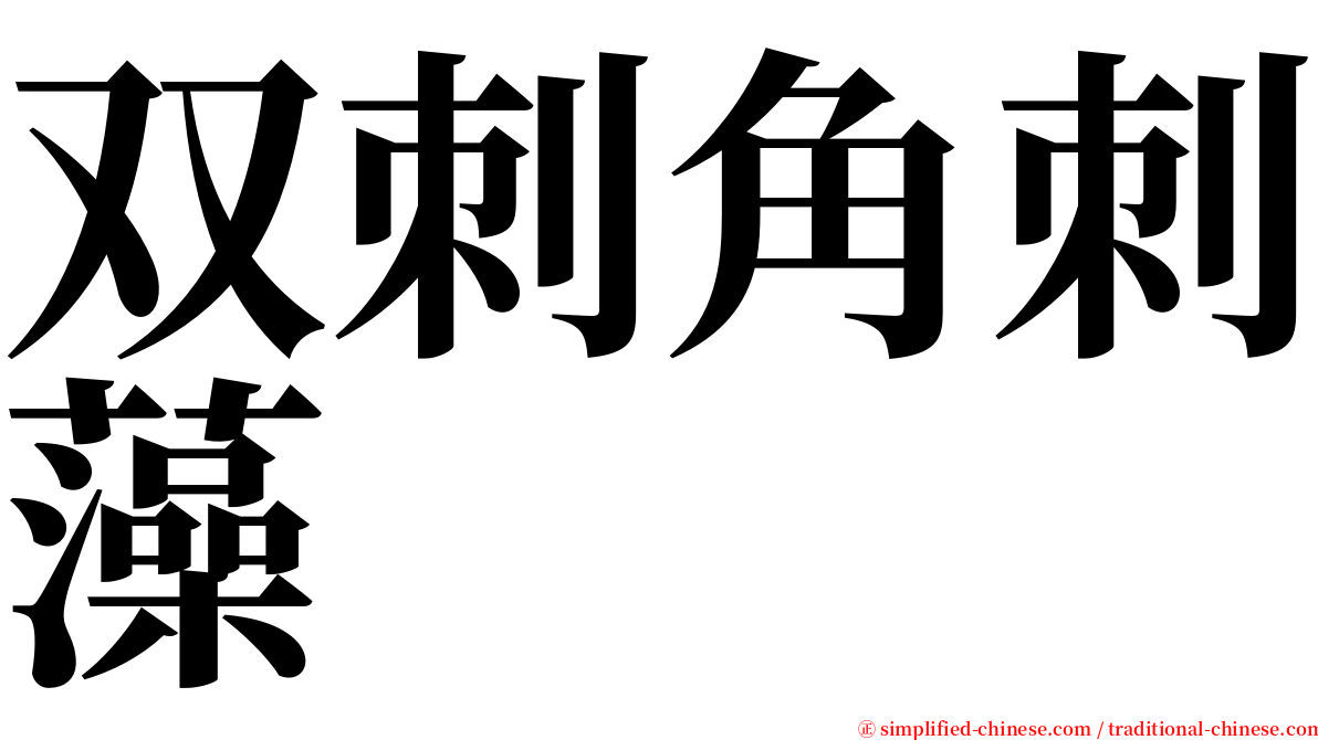 双刺角刺藻 serif font