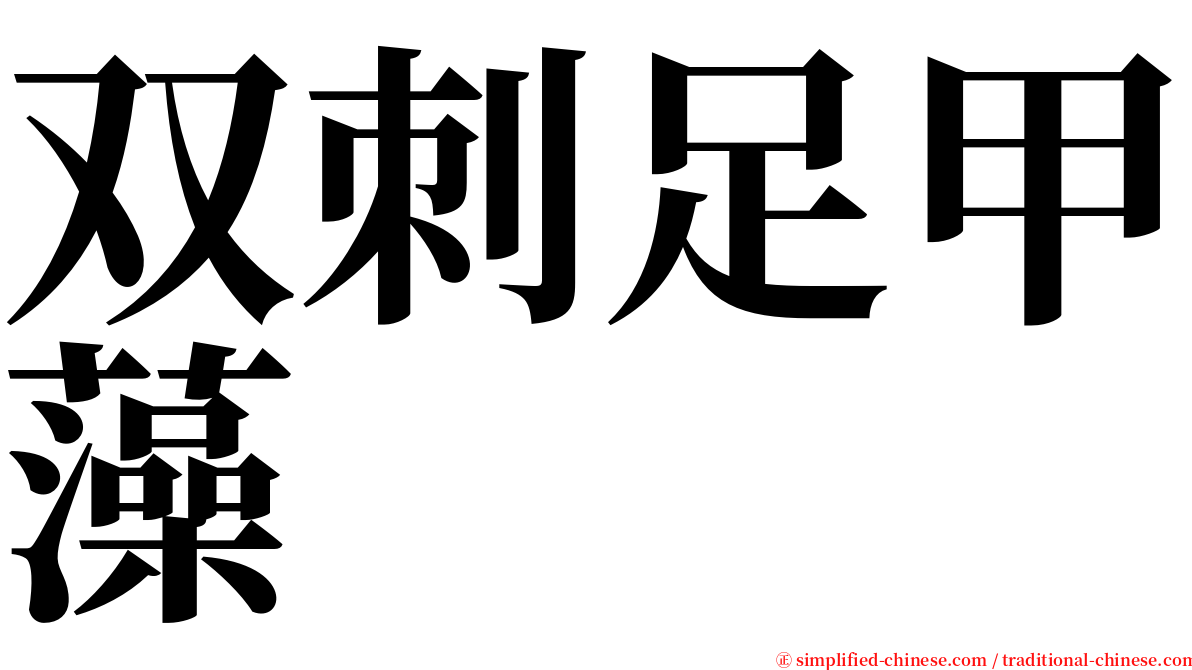 双刺足甲藻 serif font