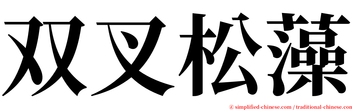 双叉松藻 serif font