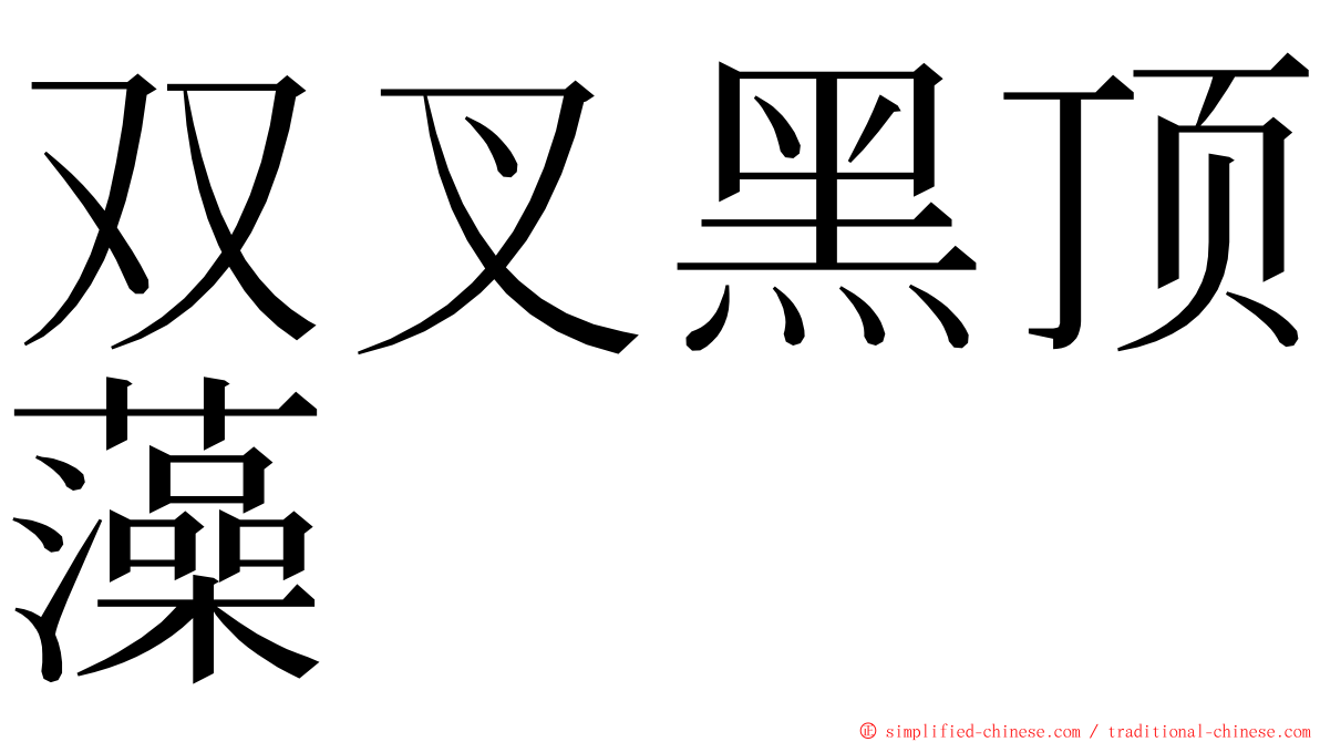 双叉黑顶藻 ming font