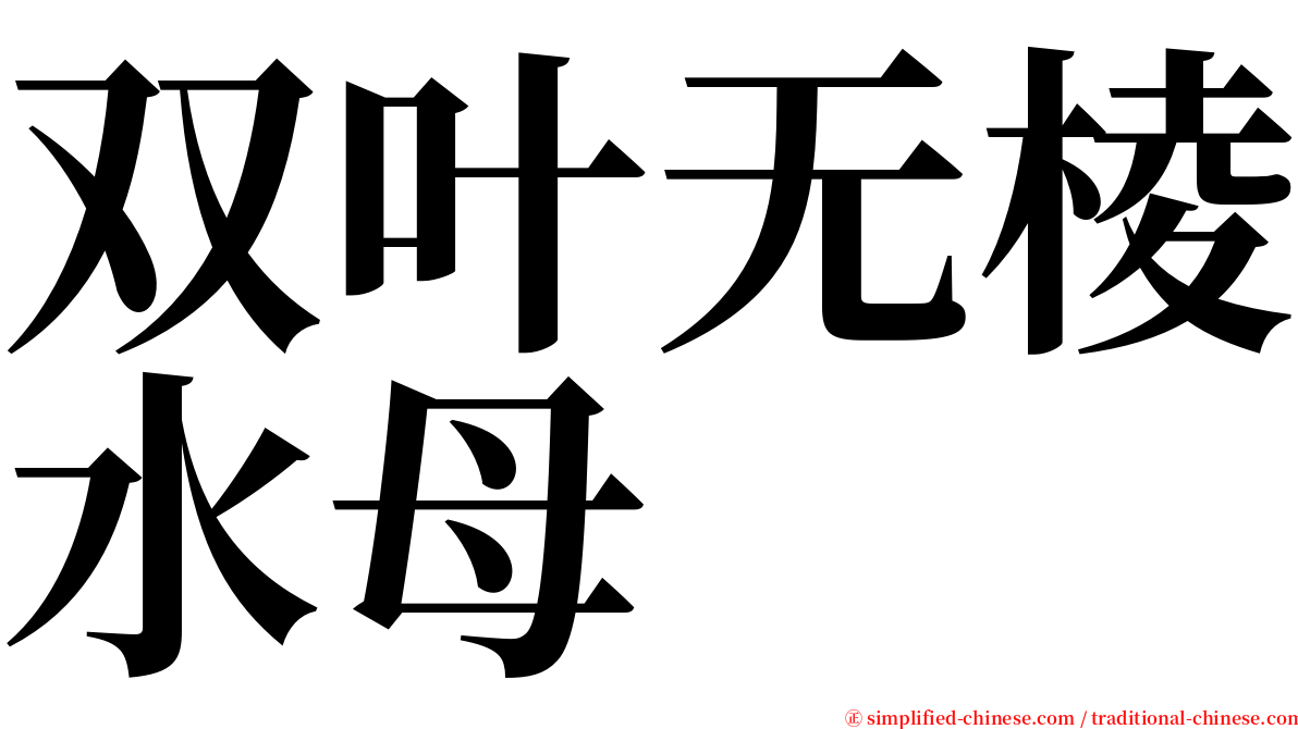 双叶无棱水母 serif font