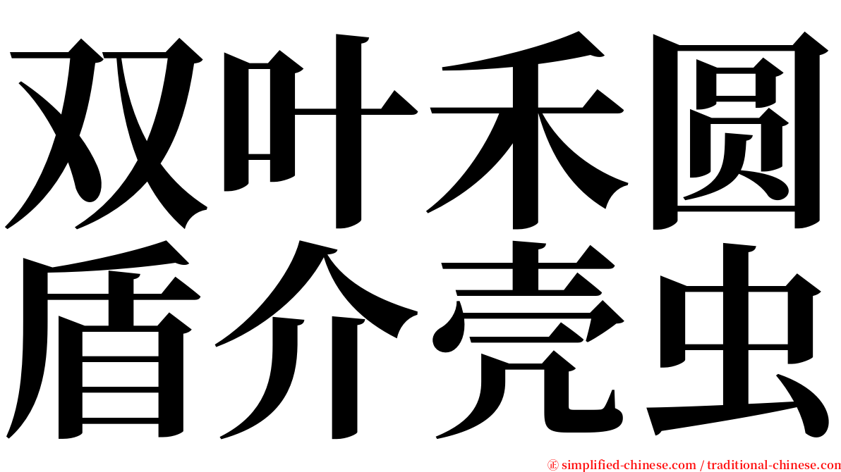 双叶禾圆盾介壳虫 serif font