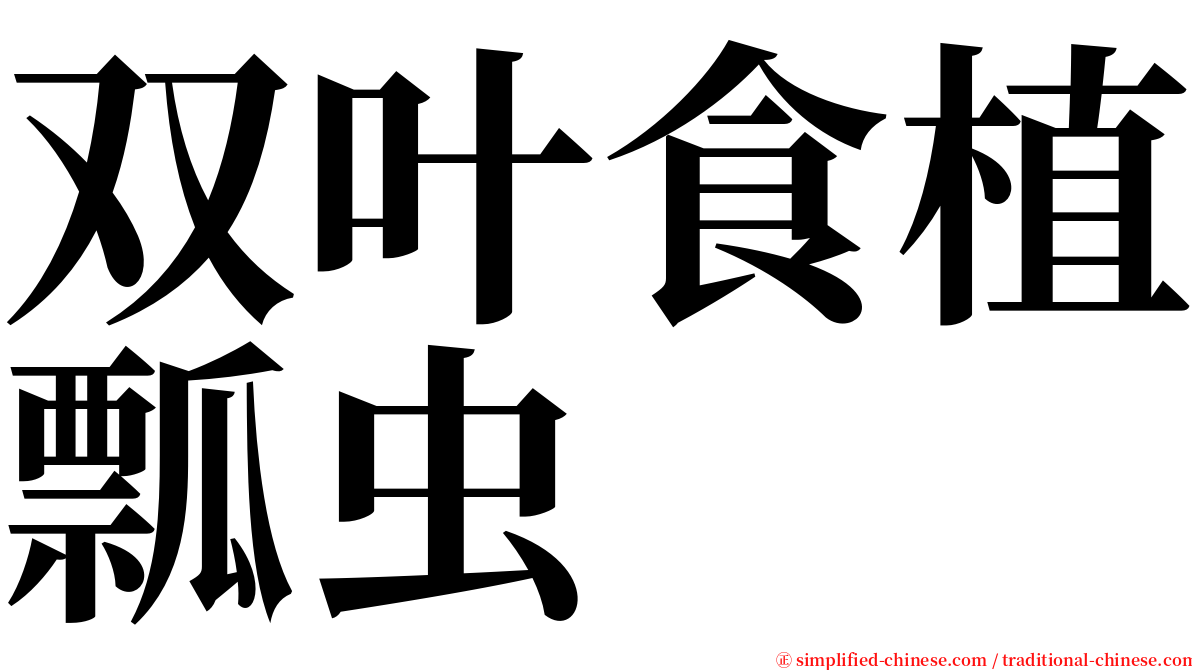 双叶食植瓢虫 serif font