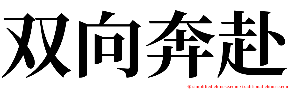 双向奔赴 serif font