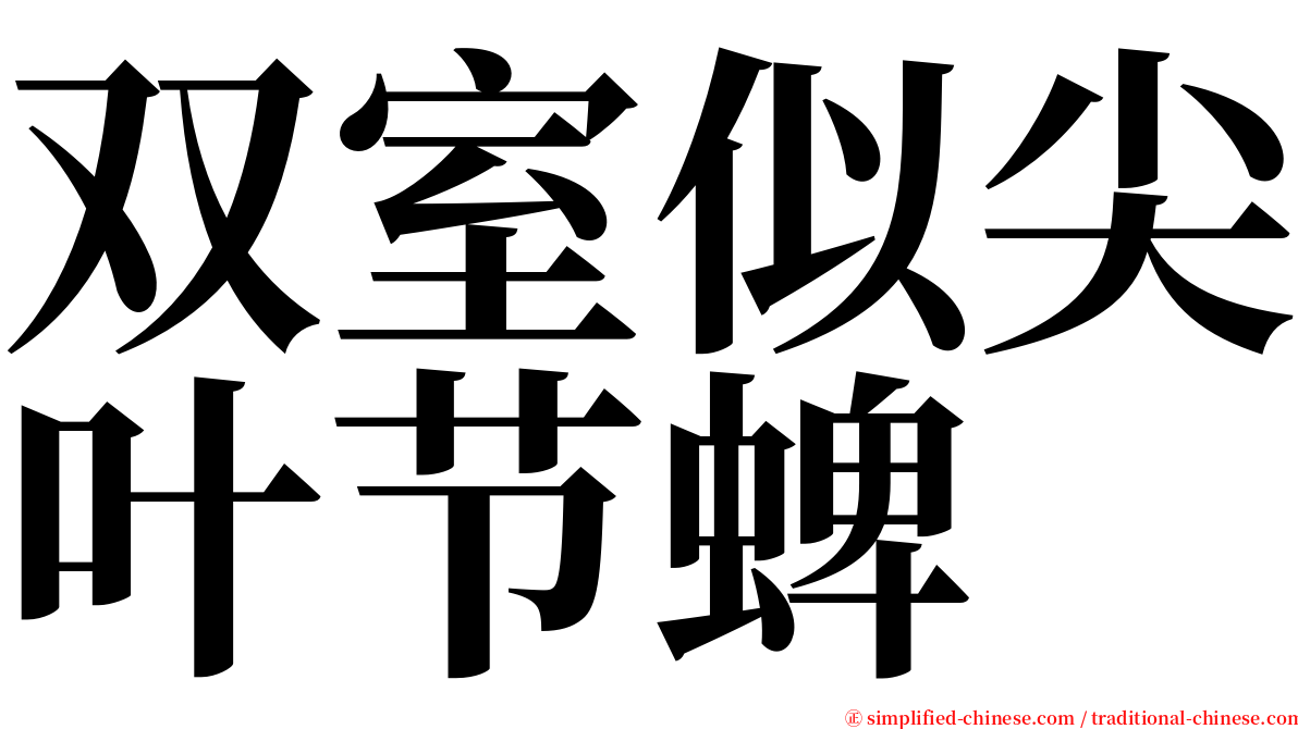 双室似尖叶节蜱 serif font