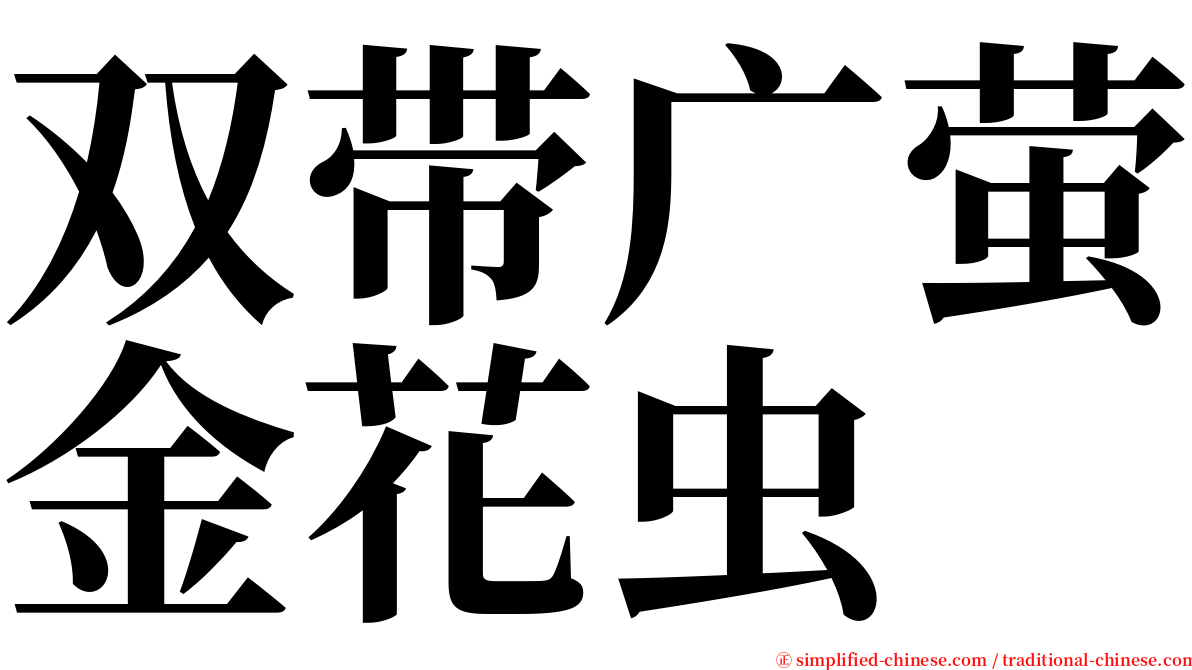 双带广萤金花虫 serif font