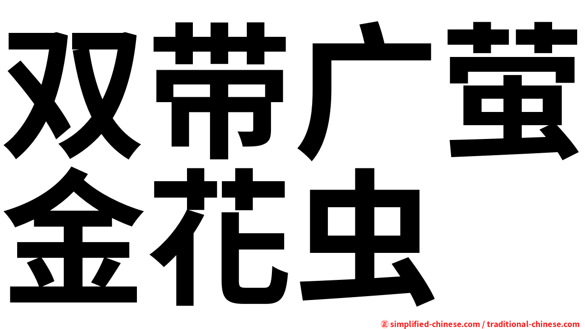 双带广萤金花虫