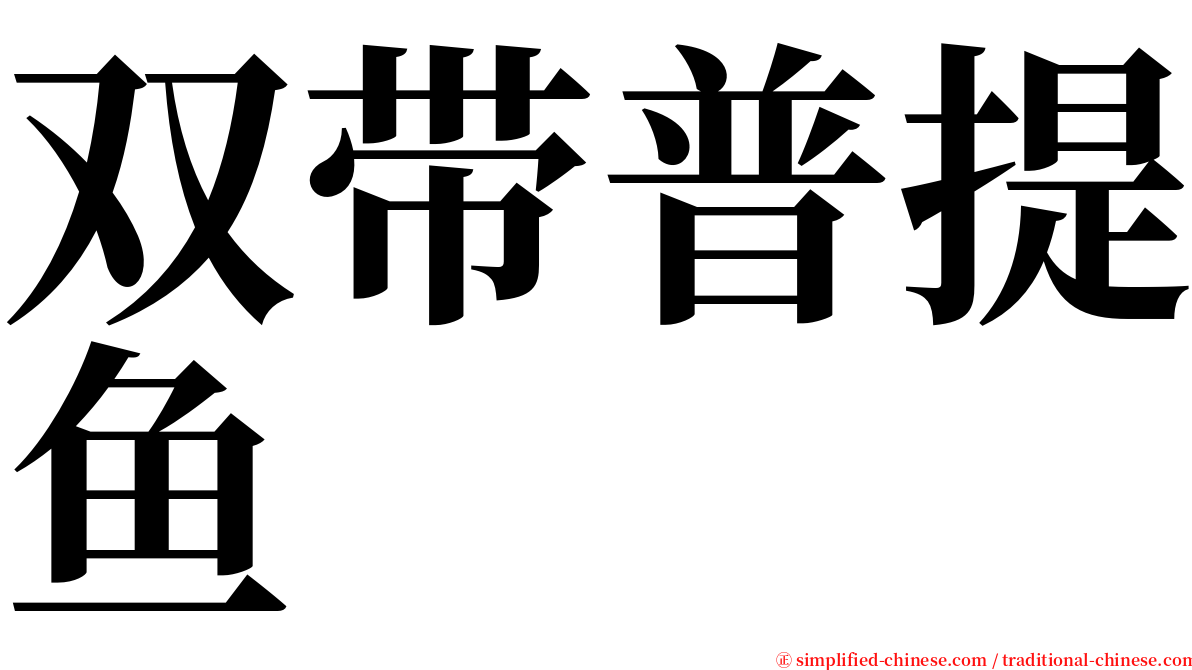 双带普提鱼 serif font