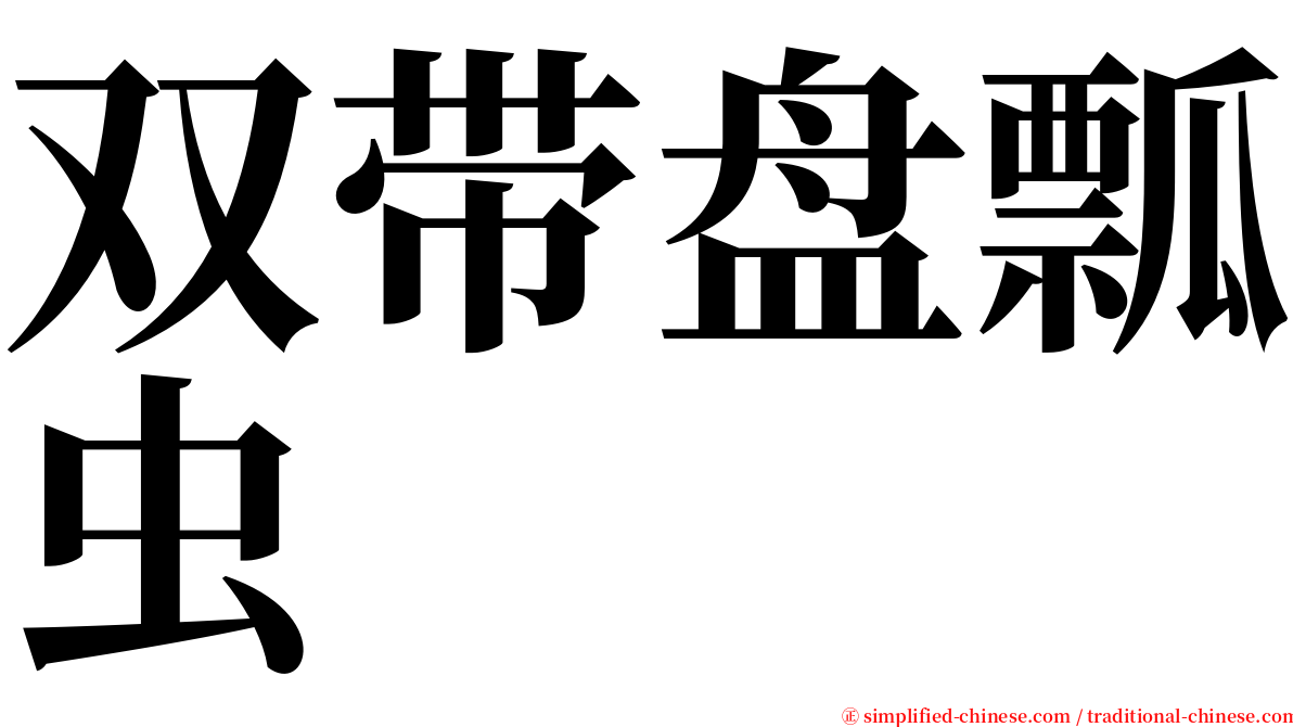 双带盘瓢虫 serif font