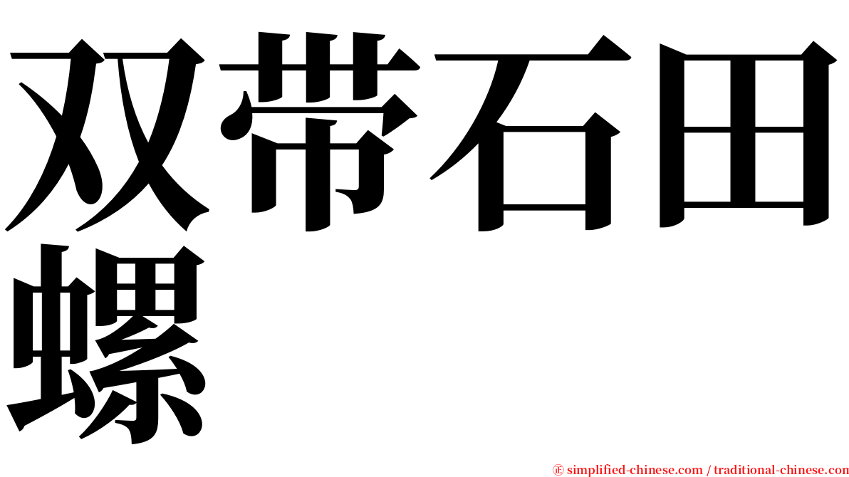 双带石田螺 serif font