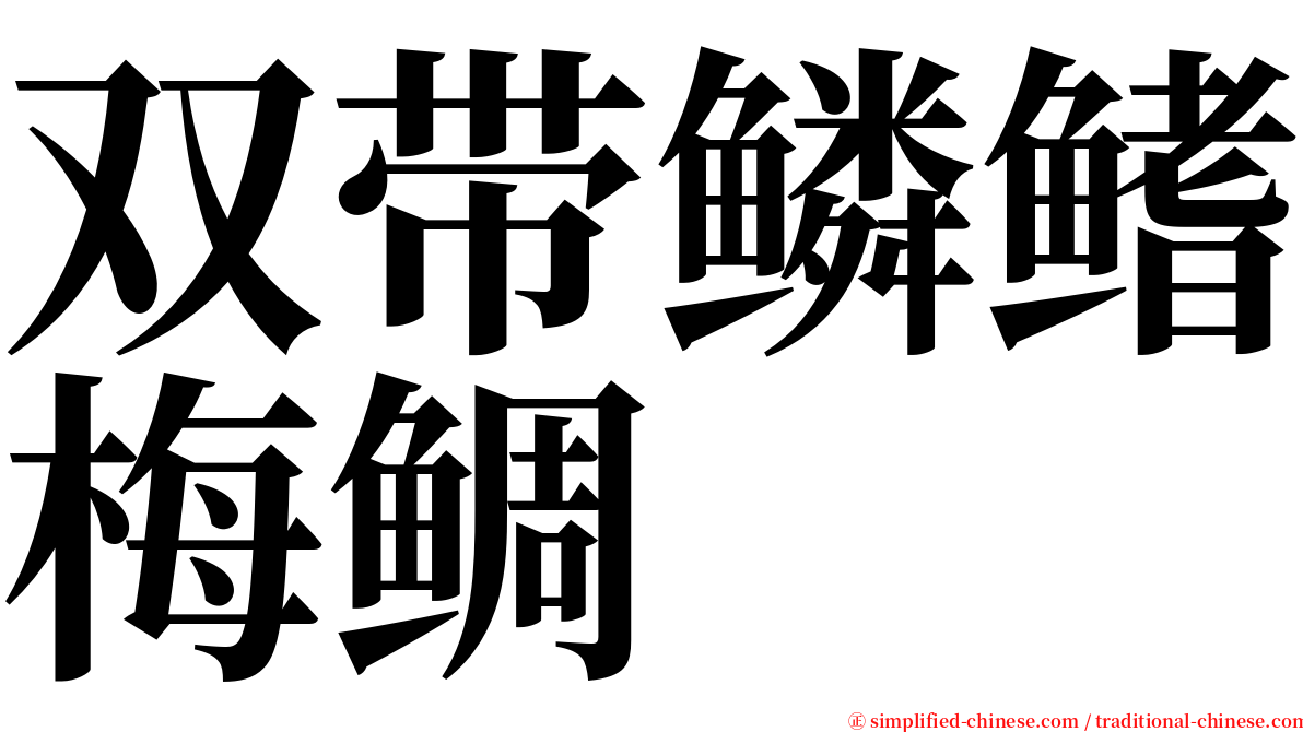 双带鳞鳍梅鲷 serif font