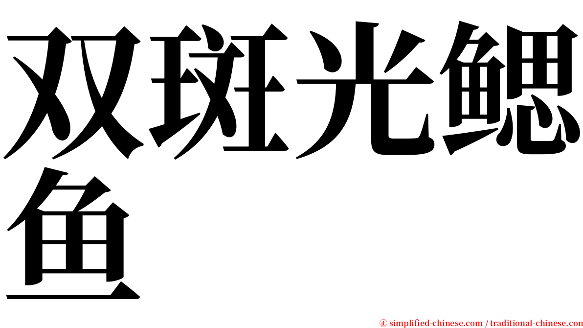 双斑光鳃鱼 serif font