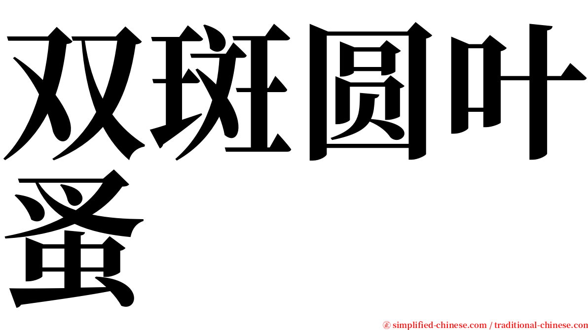 双斑圆叶蚤 serif font