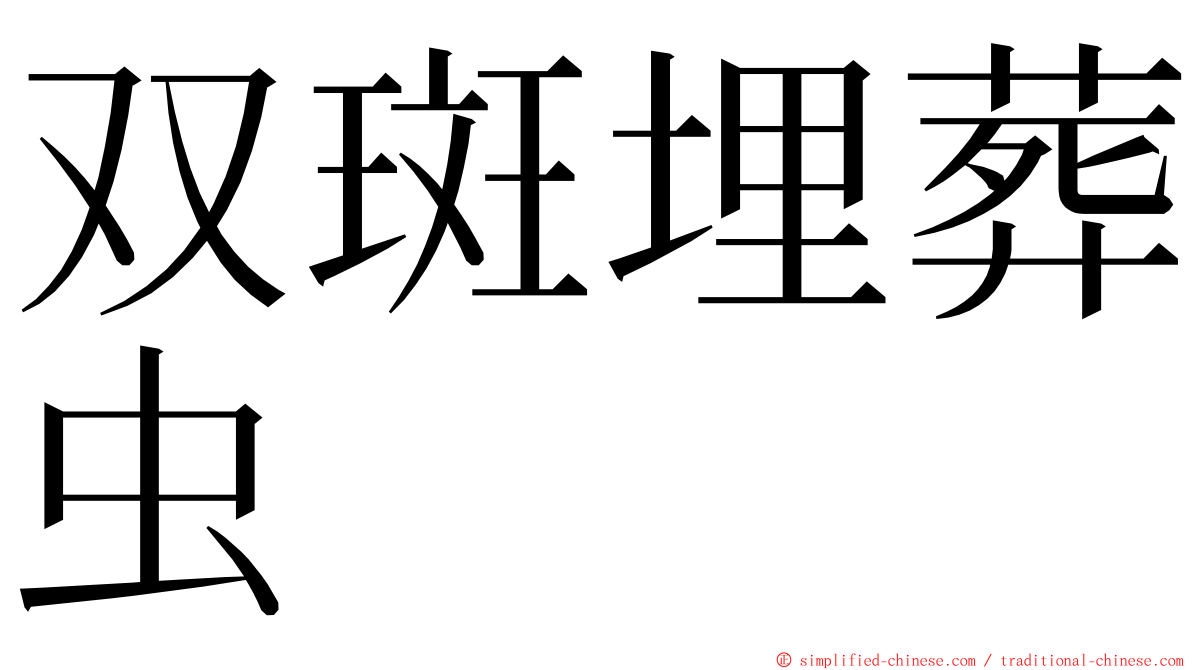 双斑埋葬虫 ming font