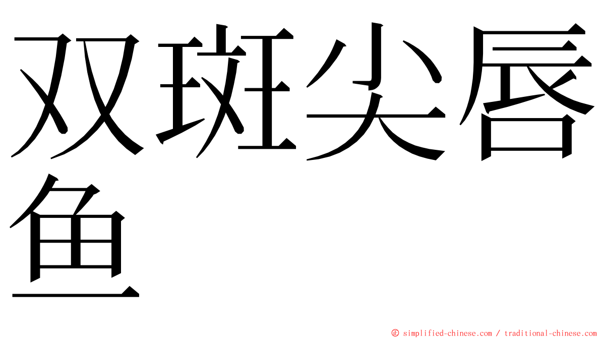 双斑尖唇鱼 ming font