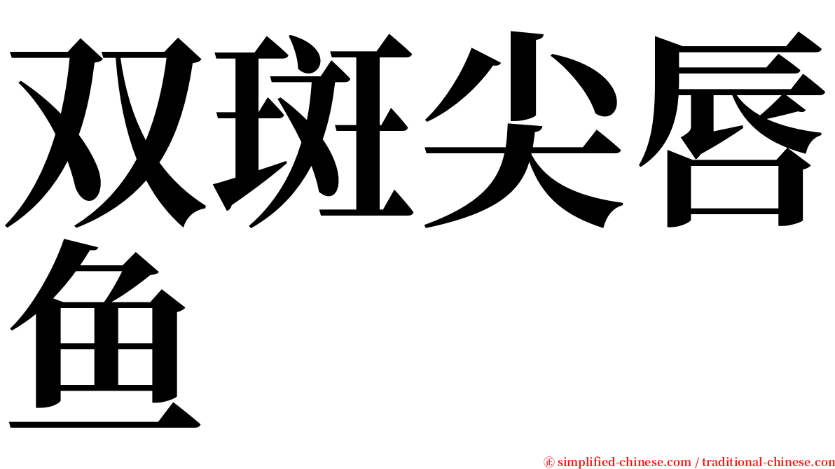 双斑尖唇鱼 serif font
