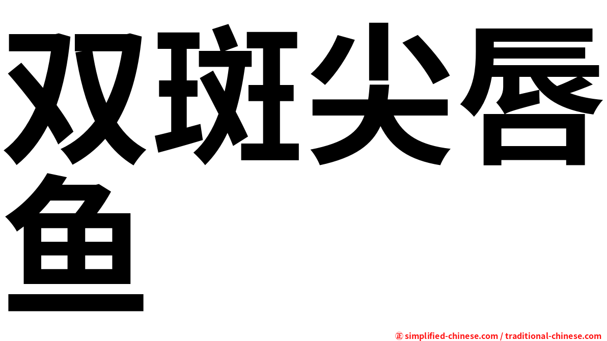 双斑尖唇鱼