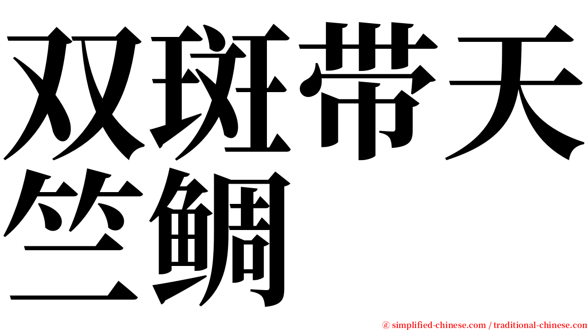 双斑带天竺鲷 serif font