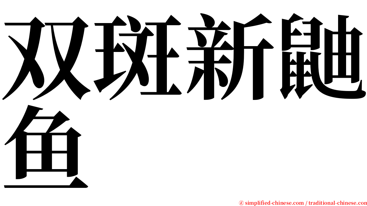 双斑新鼬鱼 serif font