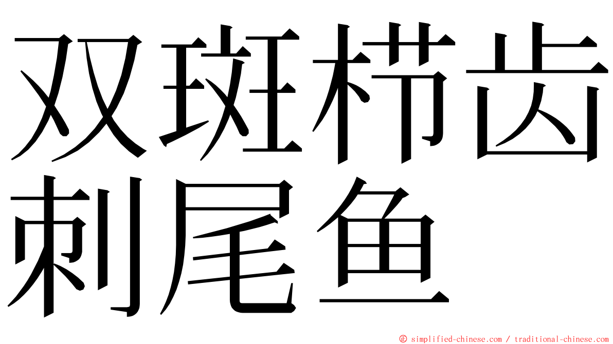 双斑栉齿刺尾鱼 ming font