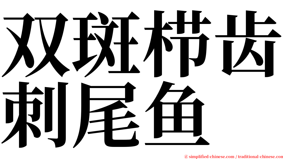 双斑栉齿刺尾鱼 serif font