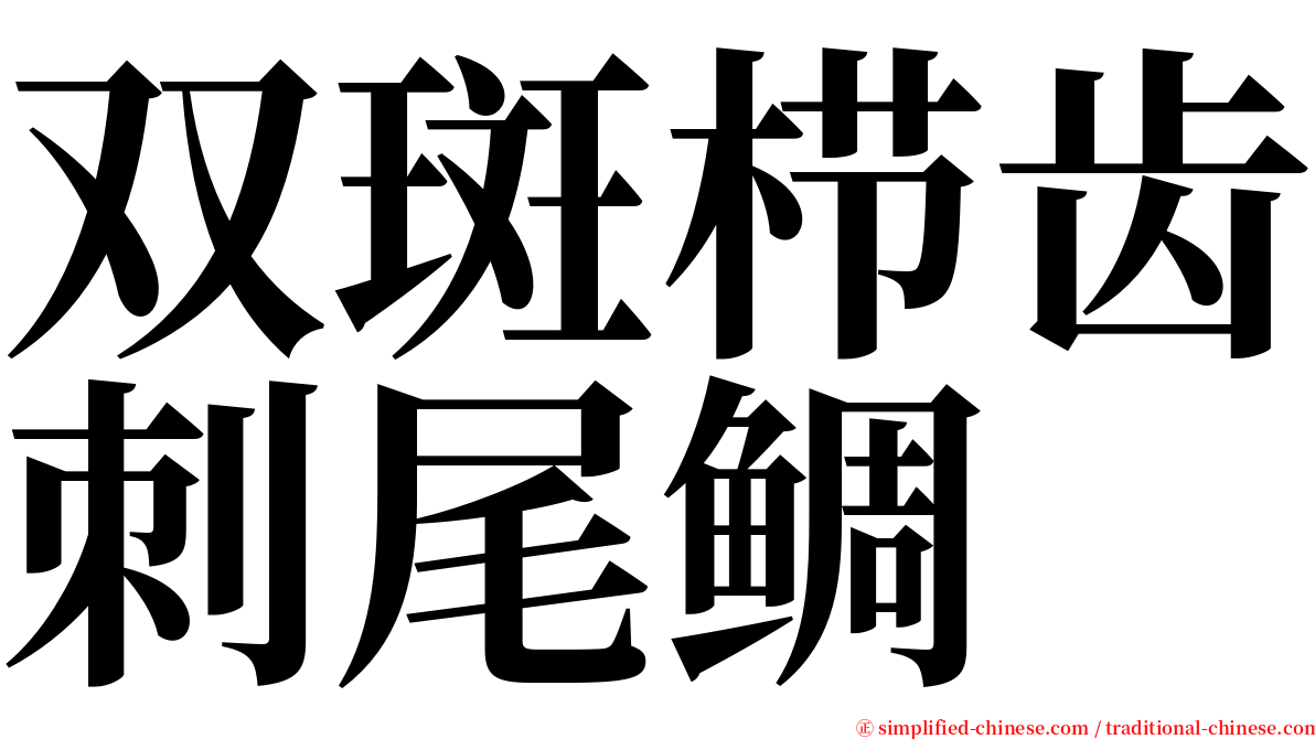 双斑栉齿刺尾鲷 serif font