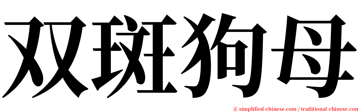 双斑狗母 serif font