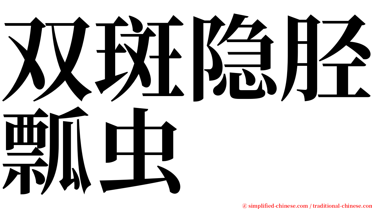 双斑隐胫瓢虫 serif font