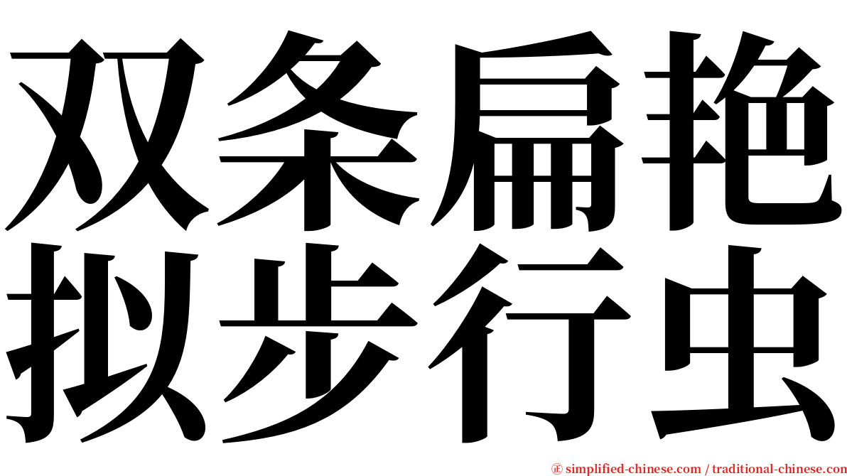 双条扁艳拟步行虫 serif font