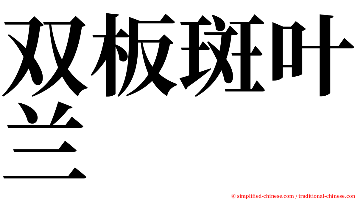 双板斑叶兰 serif font