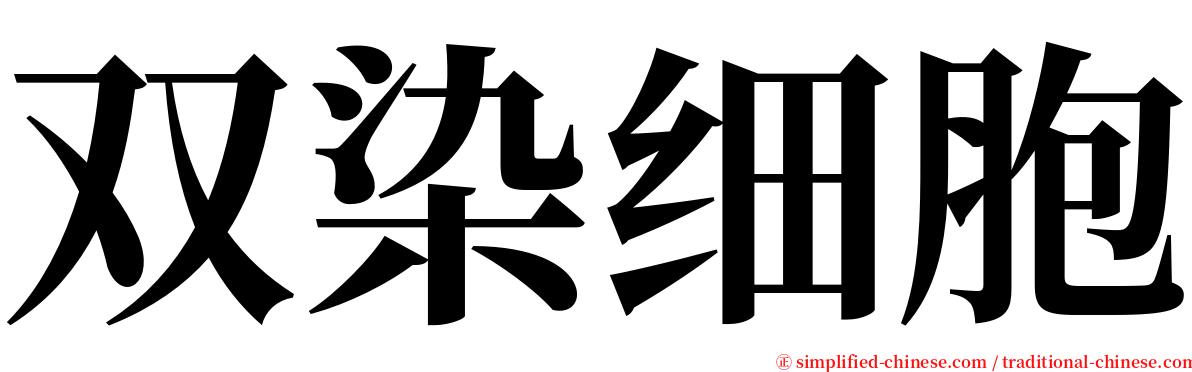 双染细胞 serif font