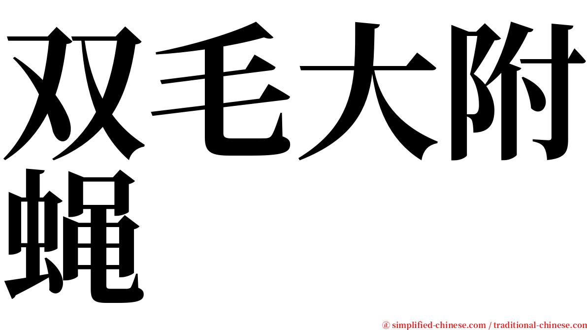 双毛大附蝇 serif font