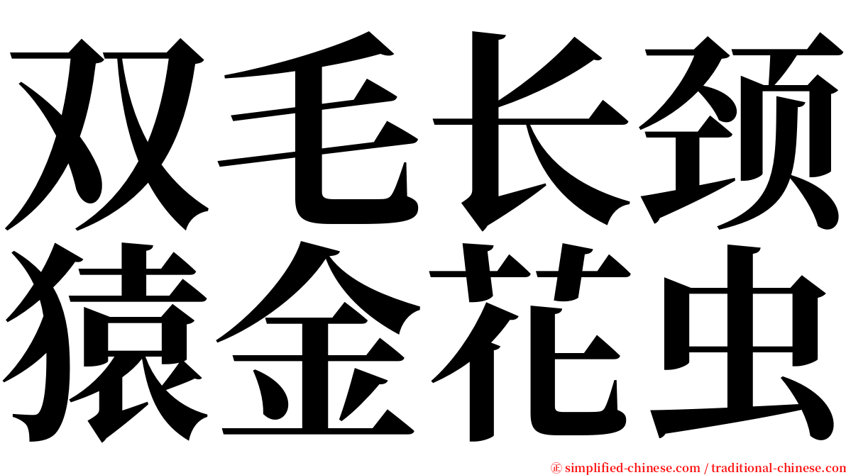 双毛长颈猿金花虫 serif font