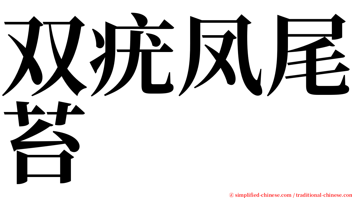 双疣凤尾苔 serif font