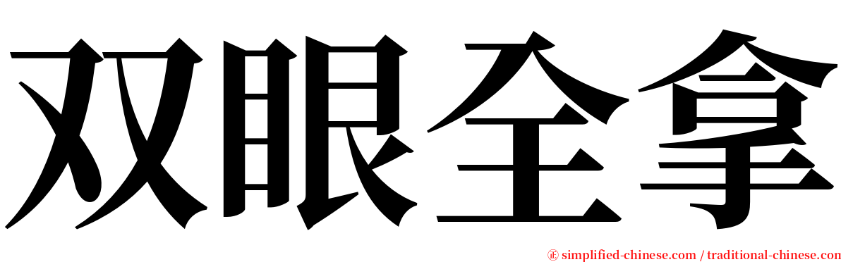 双眼全拿 serif font