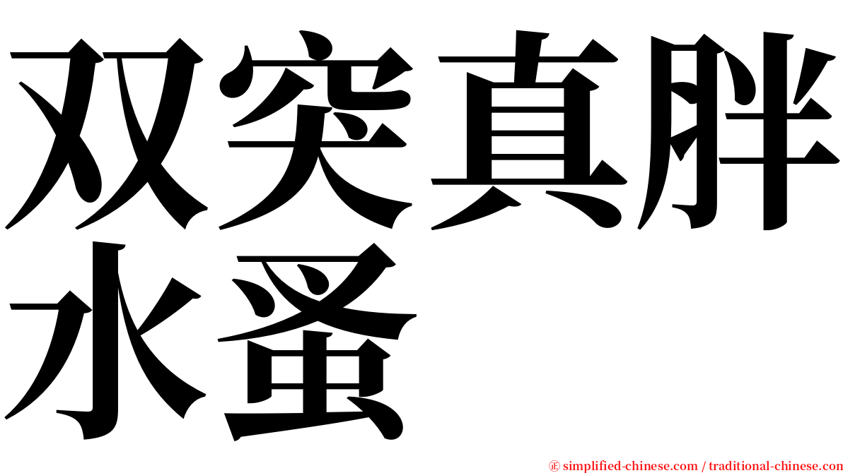 双突真胖水蚤 serif font