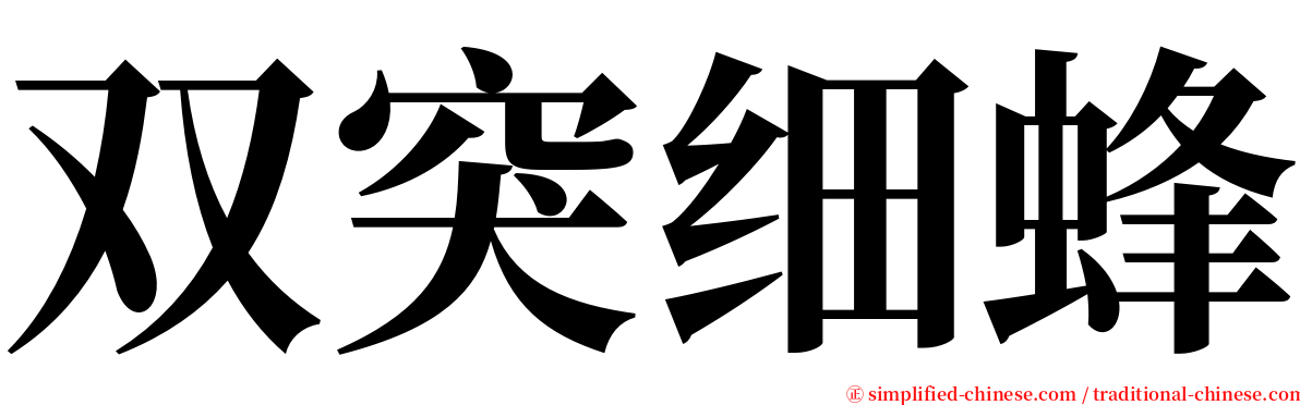 双突细蜂 serif font