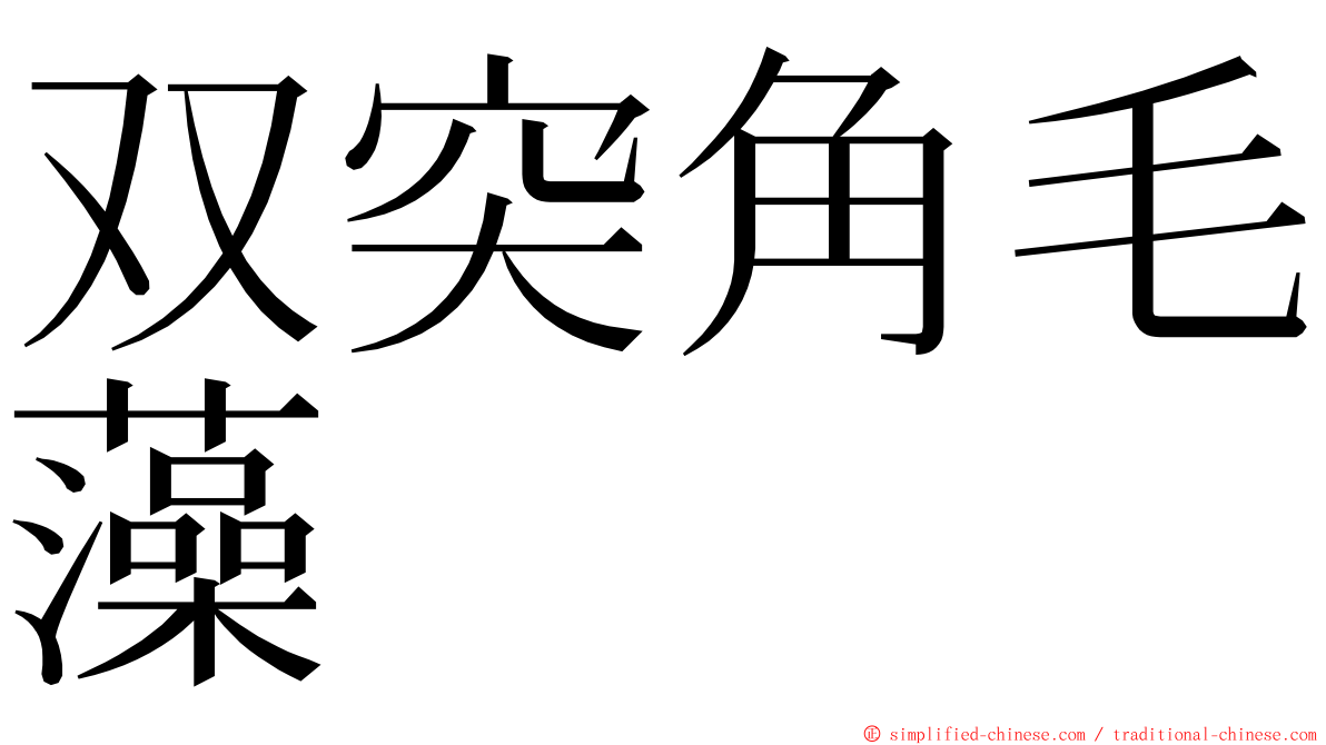 双突角毛藻 ming font