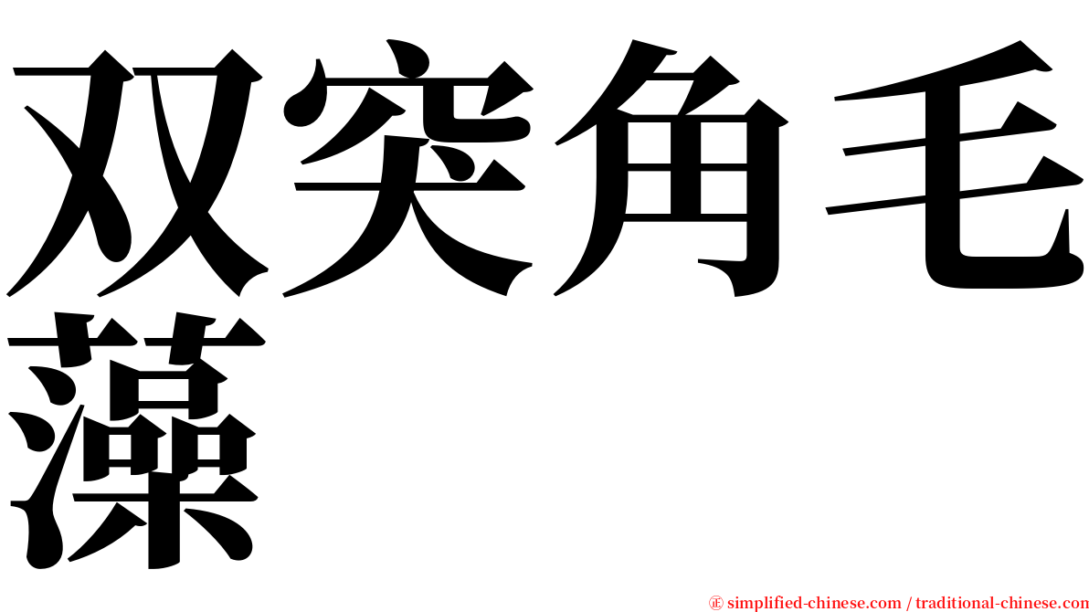 双突角毛藻 serif font