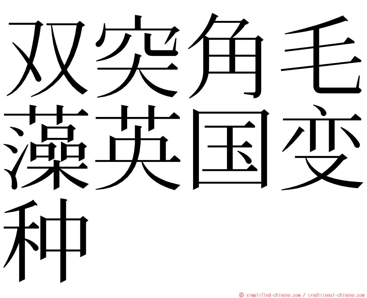 双突角毛藻英国变种 ming font