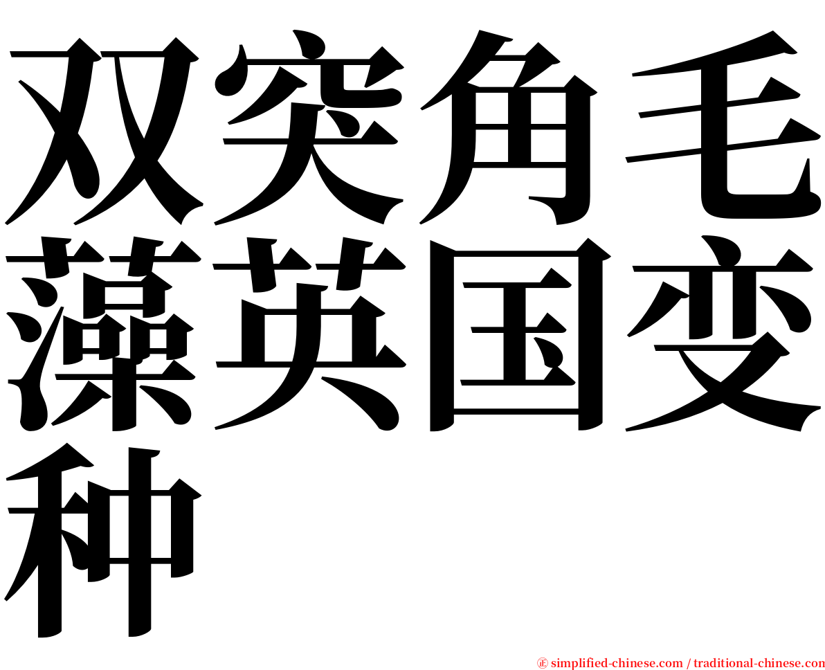 双突角毛藻英国变种 serif font